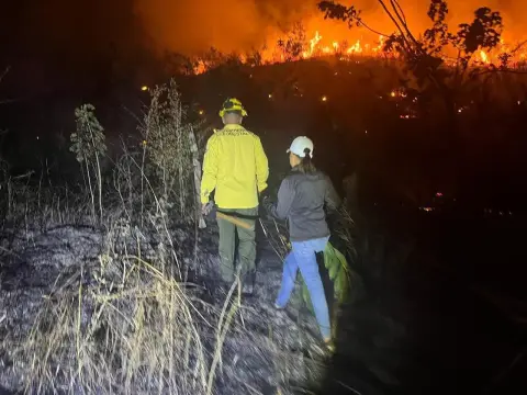 Bomberos forestales combaten incendio en la Loma Atravesada, Dajabón