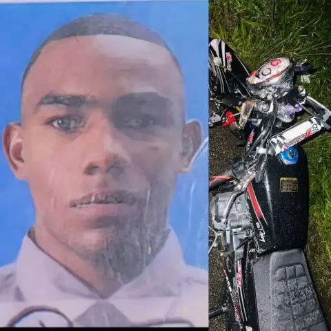 Agente de la Policía Nacional muere tras chocar con una vaca en la Autovía del Nordeste