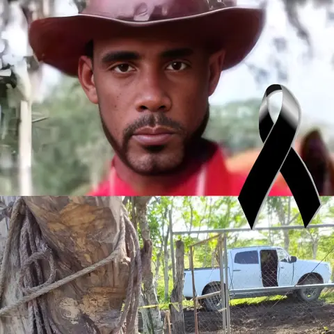 Padre Santo! La manera como acaban de hallarlo. De pies y manos, debajo del tronco. 😭 Mira lo que le hicieron. Imágenes adentro 😱