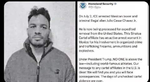 Arrestan al boxeador julio cesar Chávez jr