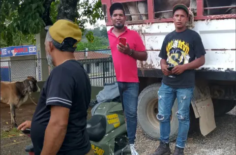 Llevaban un camión cargado de vaca
