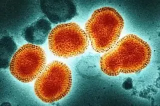 Alerta MUNDIAL por la SUPER GRIPE K: hospitales colapsan y temen una ola imparable