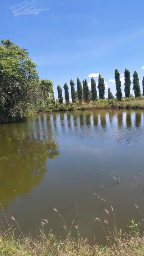 Mira quien es 😭😭 Joven de 29 años muere ahogado en un canal en Montecristi